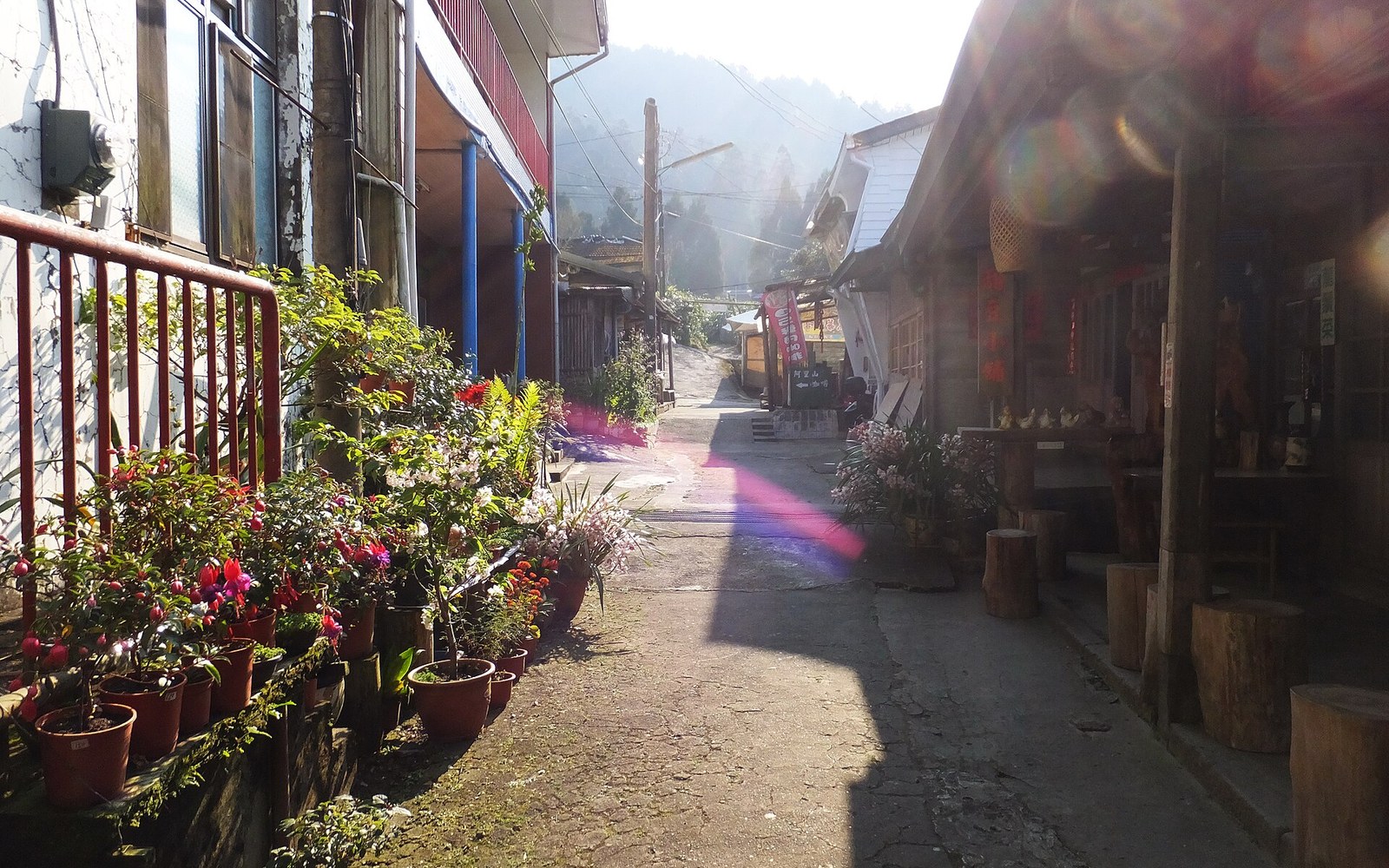 Sunlit alley lined with potted flowers and wooden shops in a mountain village