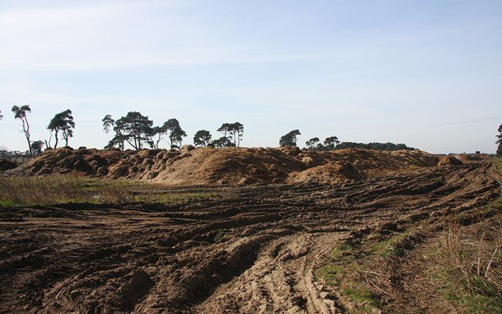 Rutted dirt track leads toward mounded compost heaps with pine trees on the horizon