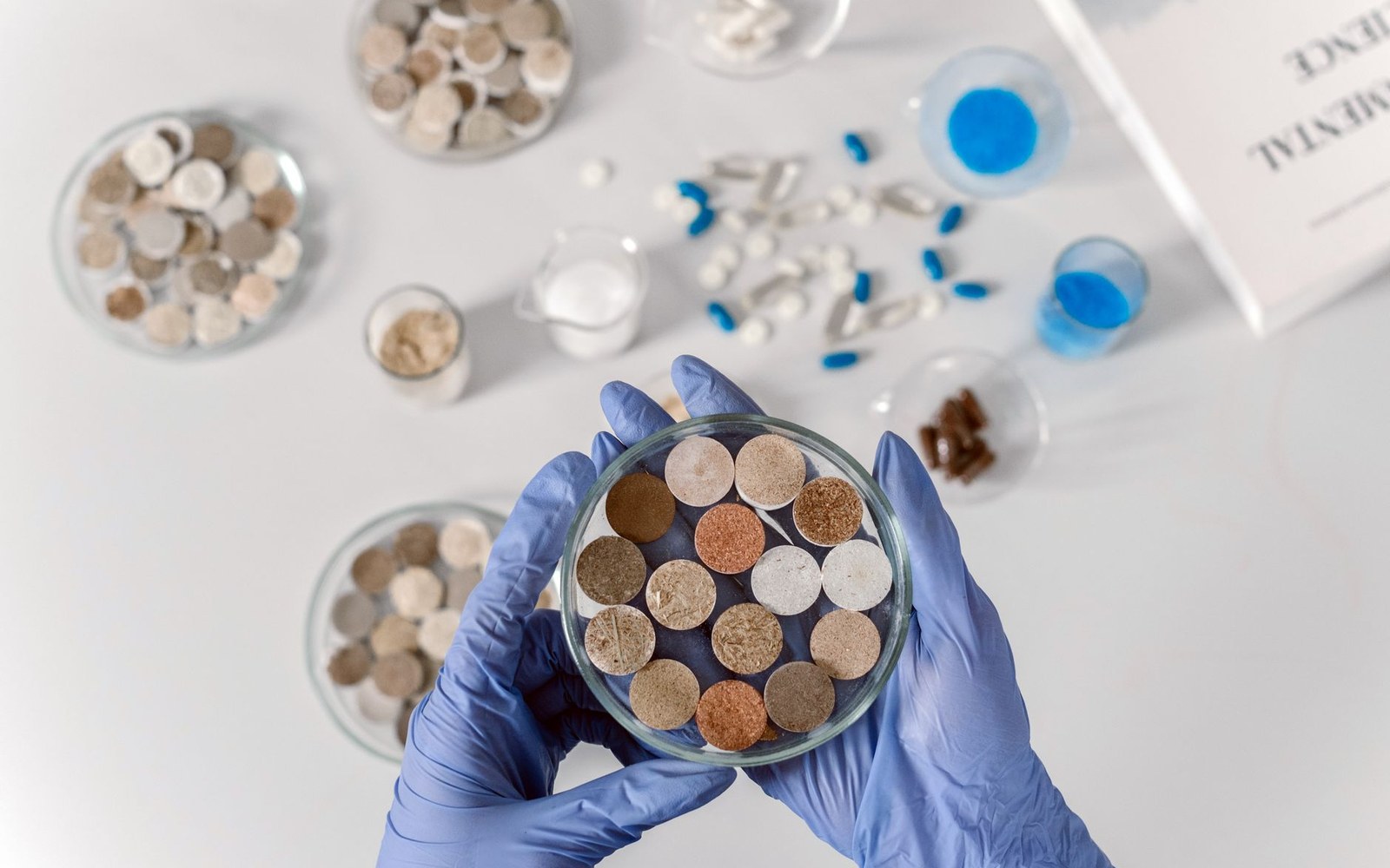 Gloved hands hold a petri dish of soil tablets among other samples and capsules on a lab table